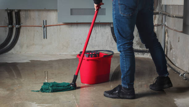 Best Flood damage cleanup  in Lovettsville, VA