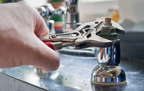 Best Professional water damage repair  in Lovettsville, VA